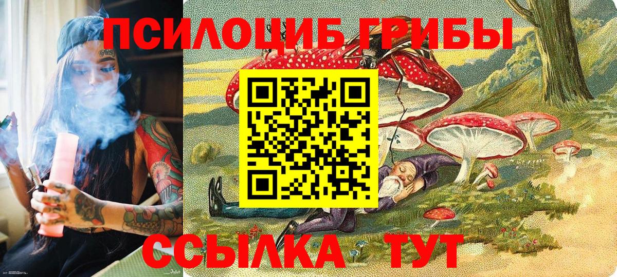 Псилоцибиновые грибы MAGIC MUSHROOMS Абинск