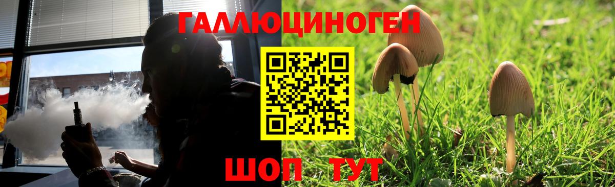 Псилоцибиновые грибы Psilocybine cubensis  Вход с VPN  даркнет сайт  Галлюциногенные грибы MAGIC MUSHROOMS  Абинск 